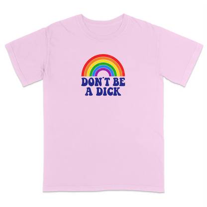 Front view of an light pink graphic T-shirt featuring a retro-style rainbow above the bold navy phrase "DON'T BE A DICK." This vintage-inspired humor tee combines colorful retro aesthetics with a funny, blunt message, making it perfect for casual everyday wear and conversation-starting style.