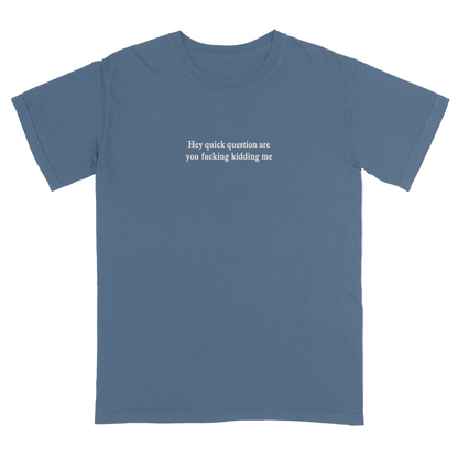 Blue t-shirt with 'Hey quick question are you fucking kidding me' text on a white background