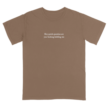 Brown t-shirt with 'Hey quick question are you fucking kidding me' text on a white background