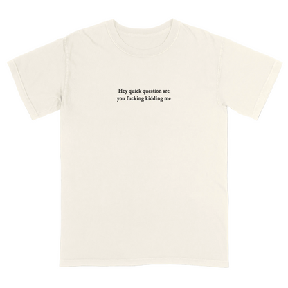 Ivory t-shirt with 'Hey quick question are you fucking kidding me' text on a white background