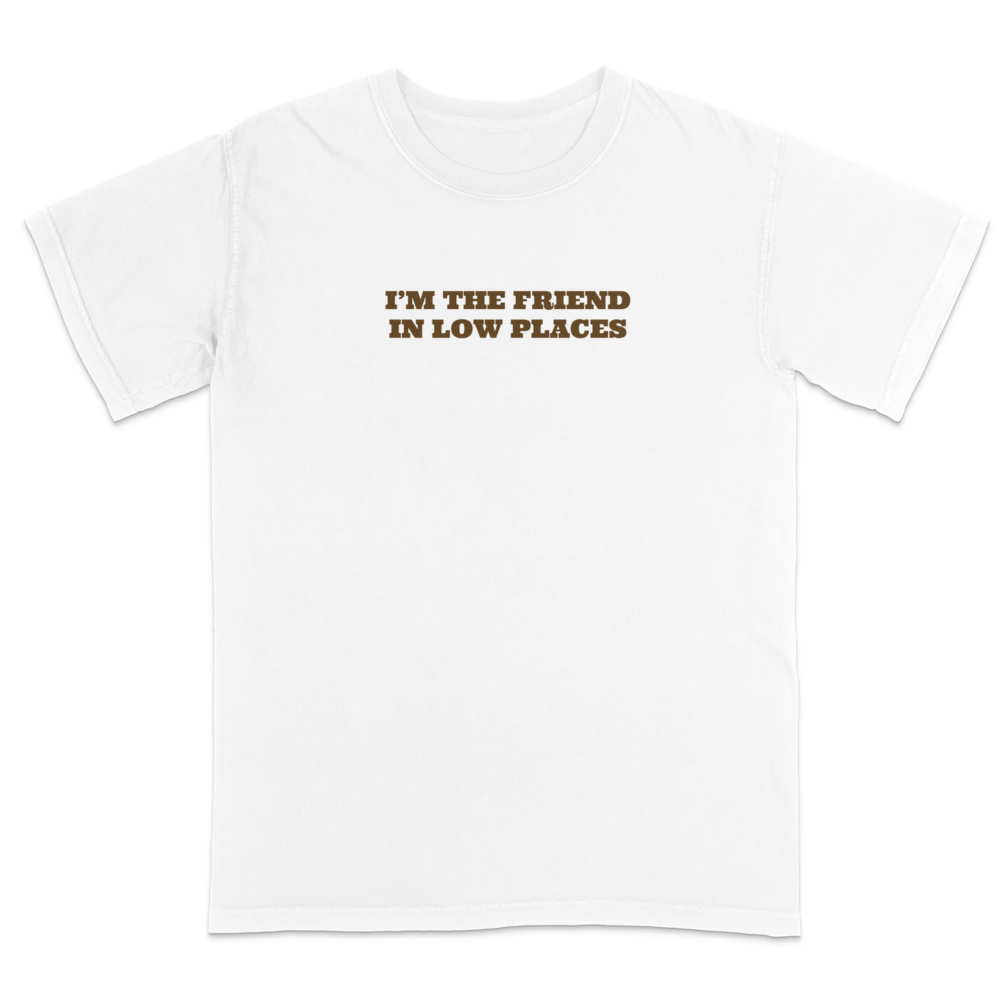 Front view of an white graphic T-shirt featuring the phrase "I'M THE FRIEND IN LOW PLACES" in bold vintage-style brown lettering centered across the chest. This western-inspired graphic tee has a clean minimalist design with a country music vibe, making it perfect for concerts, tailgates, casual outings, and everyday wear.