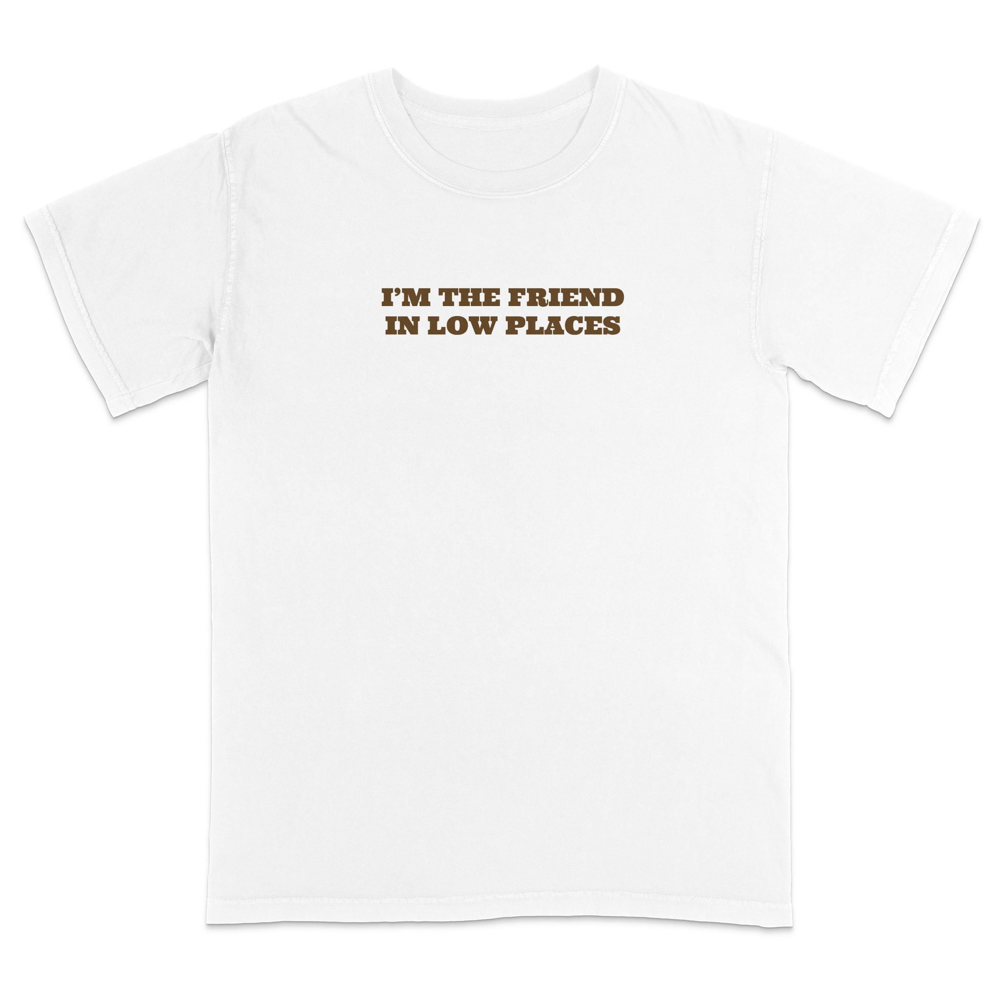 Front view of an white graphic T-shirt featuring the phrase "I'M THE FRIEND IN LOW PLACES" in bold vintage-style brown lettering centered across the chest. This western-inspired graphic tee has a clean minimalist design with a country music vibe, making it perfect for concerts, tailgates, casual outings, and everyday wear.